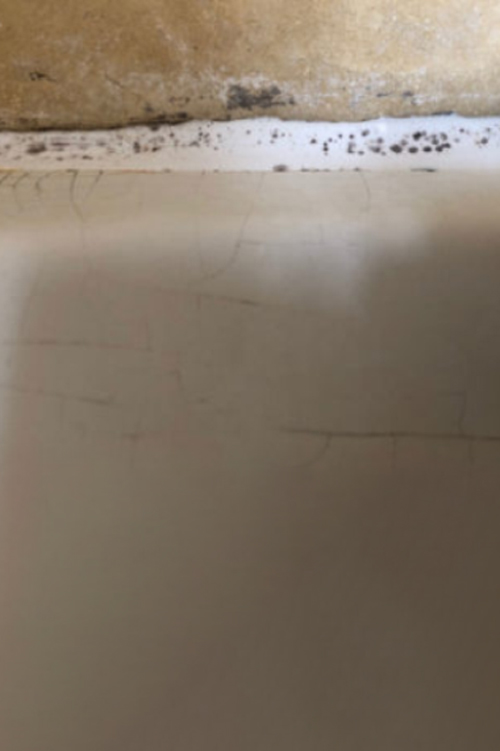 Mold on a silicon strip between shower-box walls and tray