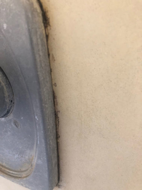 Mold behind a shower's faucet handles