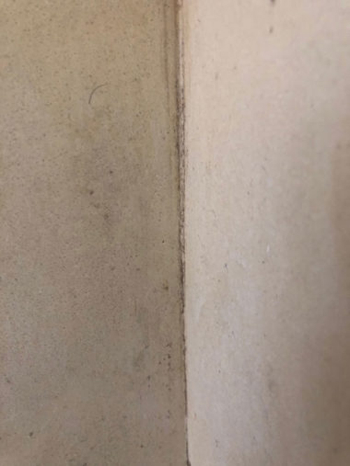 Mold in the corner of a shower box's walls
